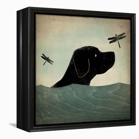 Black Dog Swim-Ryan Fowler-Framed Stretched Canvas