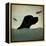 Black Dog Swim-Ryan Fowler-Framed Stretched Canvas