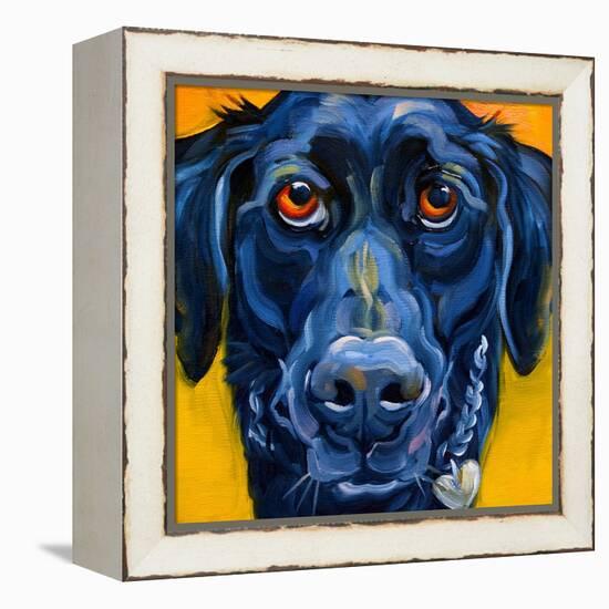 Black Dog-Connie R. Townsend-Framed Stretched Canvas