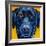 Black Dog-Connie R. Townsend-Framed Art Print