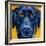 Black Dog-Connie R. Townsend-Framed Art Print