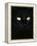 Black Domestic Cat, Eyes with Pupils Closed in Bright Light-Jane Burton-Framed Premier Image Canvas