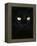 Black Domestic Cat, Eyes with Pupils Closed in Bright Light-Jane Burton-Framed Premier Image Canvas