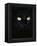 Black Domestic Cat, Eyes with Pupils Closed in Bright Light-Jane Burton-Framed Premier Image Canvas