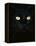 Black Domestic Cat, Eyes with Pupils Closed in Bright Light-Jane Burton-Framed Premier Image Canvas