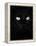 Black Domestic Cat, Eyes with Pupils Closed in Bright Light-Jane Burton-Framed Premier Image Canvas