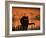 Black Domestic Cat Silhouetted Against Sunset Sky, Eyes Reflecting the Light, UK-Jane Burton-Framed Photographic Print