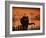 Black Domestic Cat Silhouetted Against Sunset Sky, Eyes Reflecting the Light, UK-Jane Burton-Framed Photographic Print