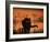 Black Domestic Cat Silhouetted Against Sunset Sky, Eyes Reflecting the Light, UK-Jane Burton-Framed Photographic Print