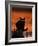 Black Domestic Cat, Silhoutte at Sunset with Eyes Reflecting Light-Jane Burton-Framed Photographic Print