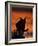 Black Domestic Cat, Silhoutte at Sunset with Eyes Reflecting Light-Jane Burton-Framed Photographic Print