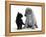 Black Domestic Kitten (Felis Catus) and Labrador Puppy (Canis Familiaris) Looking at Each Other-Jane Burton-Framed Premier Image Canvas