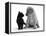 Black Domestic Kitten (Felis Catus) and Labrador Puppy (Canis Familiaris) Looking at Each Other-Jane Burton-Framed Premier Image Canvas