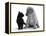 Black Domestic Kitten (Felis Catus) and Labrador Puppy (Canis Familiaris) Looking at Each Other-Jane Burton-Framed Premier Image Canvas
