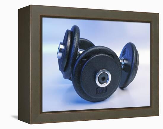 Black Dumbbells-null-Framed Premier Image Canvas