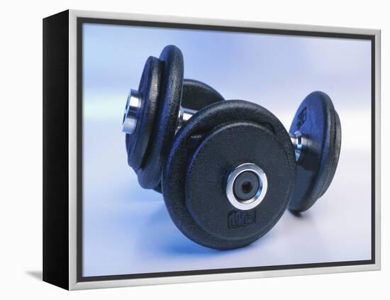 Black Dumbbells-null-Framed Premier Image Canvas