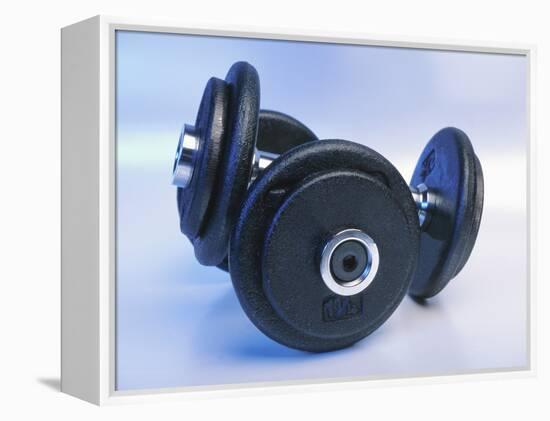 Black Dumbbells-null-Framed Premier Image Canvas