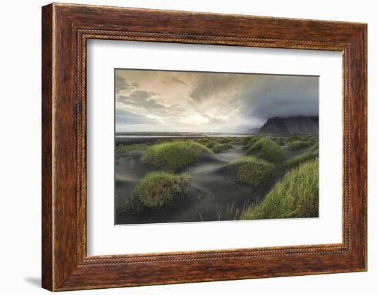 Black Dunes Panorama-Danny Head-Framed Photographic Print