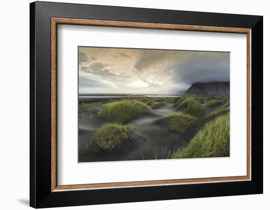 Black Dunes Panorama-Danny Head-Framed Photographic Print