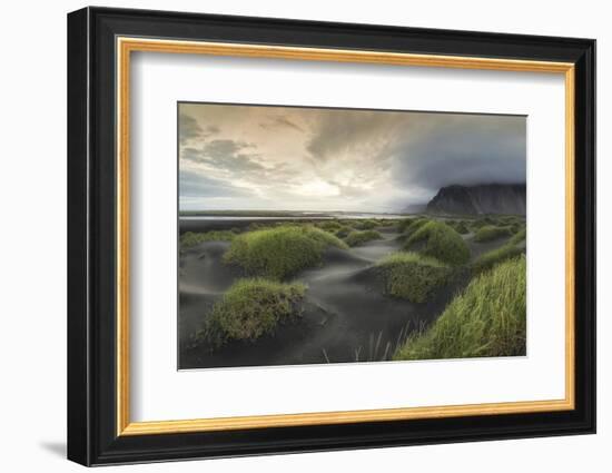 Black Dunes Panorama-Danny Head-Framed Photographic Print