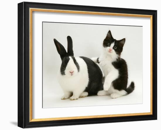 Black Dutch Rabbit with Black-And-White Kitten-Jane Burton-Framed Photographic Print