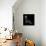 Black Eagle Polygon-Lisa Kroll-Framed Stretched Canvas displayed on a wall