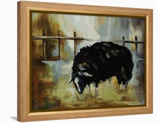 Black Ewe-Rikki Drotar-Framed Premier Image Canvas