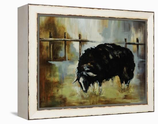 Black Ewe-Rikki Drotar-Framed Premier Image Canvas