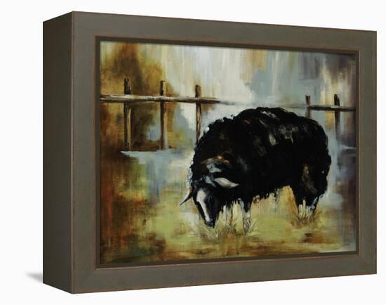 Black Ewe-Rikki Drotar-Framed Premier Image Canvas