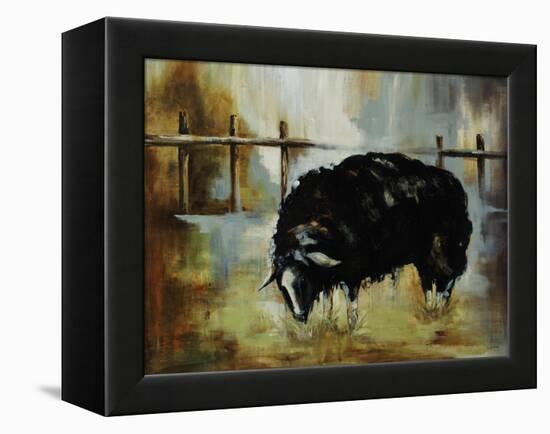 Black Ewe-Rikki Drotar-Framed Premier Image Canvas