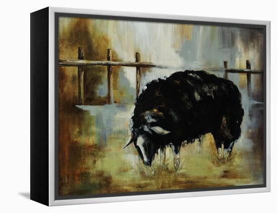 Black Ewe-Rikki Drotar-Framed Premier Image Canvas