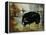 Black Ewe-Rikki Drotar-Framed Premier Image Canvas