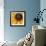 Black Eyed Susan Abstract-Anna Miller-Framed Photographic Print displayed on a wall