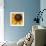 Black Eyed Susan Abstract-Anna Miller-Framed Photographic Print displayed on a wall