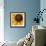 Black Eyed Susan Abstract-Anna Miller-Framed Photographic Print displayed on a wall
