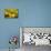 Black Eyed Susan and Ladybug-Lantern Press-Premium Giclee Print displayed on a wall