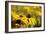 Black Eyed Susan and Ladybug-Lantern Press-Framed Premium Giclee Print