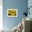 Black Eyed Susan and Ladybug-Lantern Press-Framed Premium Giclee Print displayed on a wall