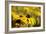 Black Eyed Susan and Ladybug-Lantern Press-Framed Art Print