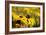 Black Eyed Susan and Ladybug-Lantern Press-Framed Art Print