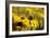 Black Eyed Susan and Ladybug-Lantern Press-Framed Art Print