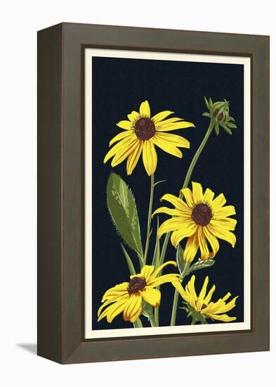 Black Eyed Susan - Letterpress-Lantern Press-Framed Stretched Canvas