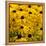 Black-Eyed Susan-Richard T. Nowitz-Framed Premier Image Canvas