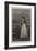 Black-Eyed Susan-George Henry Boughton-Framed Giclee Print