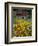 Black Eyed Susans and Barn, Vermont, USA-Darrell Gulin-Framed Photographic Print