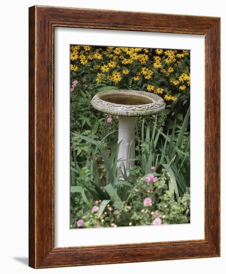 Black-Eyed Susans and Chrysanthemums-null-Framed Photographic Print