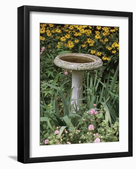 Black-Eyed Susans and Chrysanthemums-null-Framed Photographic Print