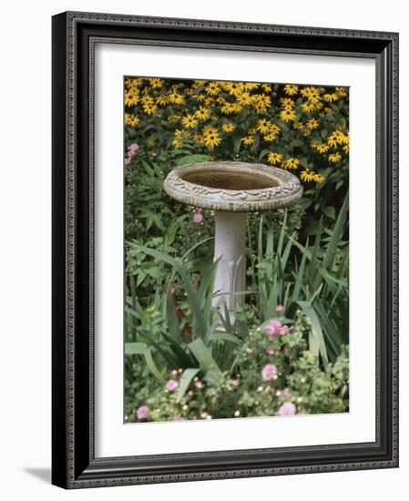 Black-Eyed Susans and Chrysanthemums-null-Framed Photographic Print