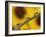 Black Eyed Susans Refracted in Dew Drops on Blade of Grass-Adam Jones-Framed Photographic Print