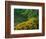 Black-Eyed Susans, Rudbeckia Hirta, and Joe Pye Weed, Holden Arboretum, Cleveland, Ohio, USA-Adam Jones-Framed Photographic Print